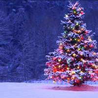 Новорічні розваги у Тернополі. План заходів