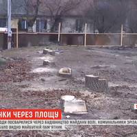 У місті Кременець на Тернопільщині через ялинки між людьми розгорілася війна. ВІДЕО