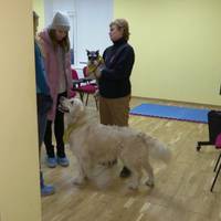 Тернопільських дітей реабілітують за допомогою спеціально навчених і відібраних собак