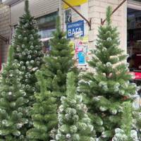 У скільки тернополянам обійдеться цьогоріч ялинка на новорічні свята. ВІДЕО