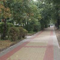 Тернополяни просять відновити тротуари у парку Національного Відродження