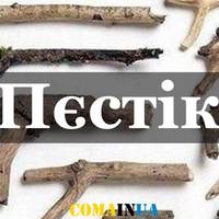 11 “дитячих” слів, які повертають нас у дитинство