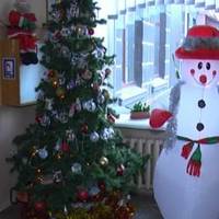 Креативна ялинка, прикрашає одну із тернопільських шкіл (Відео)