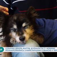 У Тернополі живе собака-довгожитель, якому уже 22 роки (Відео)
