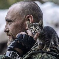 Мережу підкорили українські військові, які показали своїх котиків (фото)