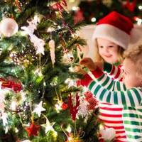 Яку ялинку обрати тернополянам на зимові свята? (поради від Православної церкви України)