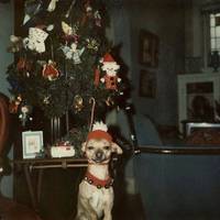 Для спогадів: 16 фото вінтажних ялинок