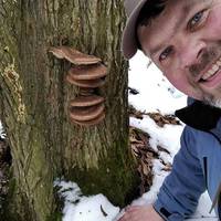 Їстівні гриби та підсніжники посеред зими: дива у лісі на Тернопільщині (ФОТО, ВІДЕО)