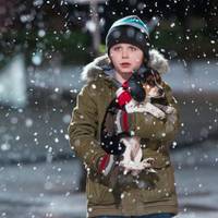 10 найкращих комедій про тварин для сімейного перегляду