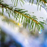 Повідомили, якою буде погода в Україні на Водохреще