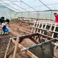 На Тернопіллі селяни об’єдналися та вирощують екзотику (фото)