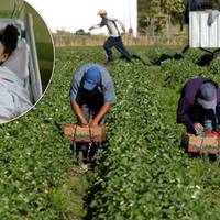 Вивіз у парк і кинув: як і чому через роботодавця померла молода українка в Польщі