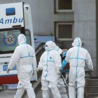 До України підступає смертельний вірус з Китаю