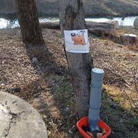 «Хто як не ми!»: на Тернопільщині встановили годівницю для безпритульних тварин