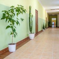 У Тернополі батьки оригінально допомагають одній із шкіл