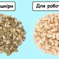 13 найбільш корисних горіхів та насіння, які потрібно їсти щодня, аби залишатися здоровим