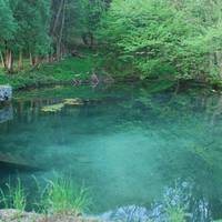 Рай на Землі: унікальне село на Тернопільщині вражає красою природи