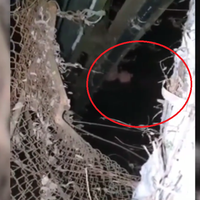 У Тернополі в парку “Топільче” двоє хлопців врятували з води бабусю (Відео)