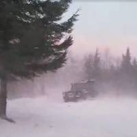 У мережі опублікували буревій у Карпатах (ВІДЕО)