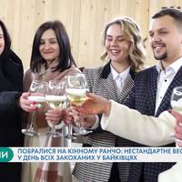 Побралися на кінному ранчо: поблизу Тернополя відбулось нестандартне весілля у День всіх закоханих. Відео