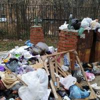 Тернополянин влаштував смітник на власному подвір’ї