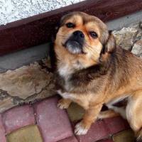 “Лежав застрелений просто під воротами”, – Владзьо з “Вар’ятів” розповів про дикунство, що трапилося в його селі