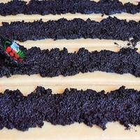 Просто тане в роті. Сирний пиріг з соковитою начинкою