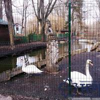 У тернопільському зоокутку – карантин