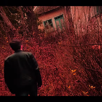 Моторошні кадри сколихнули мережу: хлопці з Тернопільщини зняли міні-трилер про покинутий дитячий табір у Теребовлі (Відео)