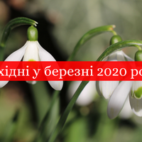 Вихідні у березні: добре погуляємо в перший місяць весни