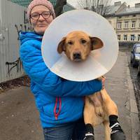 На Тернопільщині від смерті врятували собаку (фото, відео)