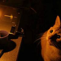 50 населених пунктів Тернопільщини залишаться сьогодні без світла