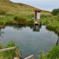 У мережі показали дивовижне відео підводного світу Кременеччини (відео)