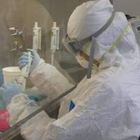 ЗМІ пишуть про десятки госпіталізованих з підозрою на коронавірус у Чернівцях: це неправда