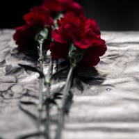 Без священика, вночі – як ховали хворого на коронавірус жителя Тернопільщини