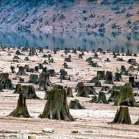 27 фотографій, які доводять, що ми в небезпеці (на №7 дивишся з відкритим ротом)