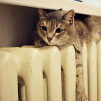 У Тернополі поки не виключатимуть опалення