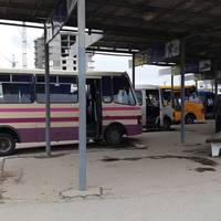 Стало відомо, коли на Тернопільщині відновлять міжміське транспортне сполучення