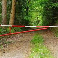 Для жителів Тернопільщини заборонили відвідування лісів