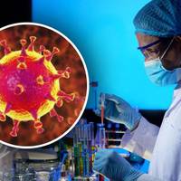 Названо головний спосіб підхопити COVID-19: громадські місця ні до чого