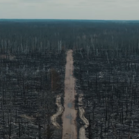 Український режисер зняв із дрона моторошні наслідки пожеж у Чорнобилі