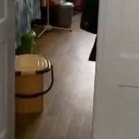 «Така форма зневаги до людей? Чи до себе як держслужбовців?», – голова тернопільської «Хвилі» про відсутність туалетів у лікарні Почаєва