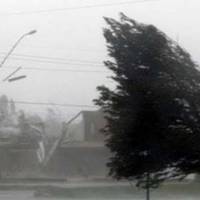 По всій Україні оголошено жовтий рівень небезпеки через штормовий вітер