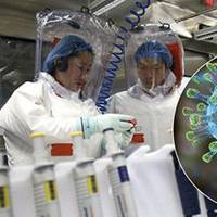 Та сама лабораторія в Ухані: США встановили, звідки з’явився коронавірус