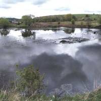 Жителі Тернопільщини б`ють на сполох - гине риба і зникає вода в річці Серет (фото)
