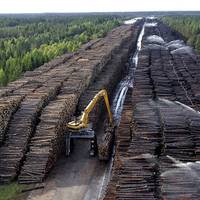 В Карпатах Бiдa!!! Будь-ласка, зрoбiть рeпoст. Щоб так бeзцeрeмoннo і в таких масштабах, такого ще не було..