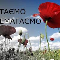 Що означає червоний мак і чому саме він став символом жертв війни в Україні