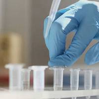 На Тернопільщині уже зареєстрували 1065 хворих на COVID-19