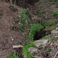 На Тернопільщині повністю висохло відоме джерело – пам’ятка природи