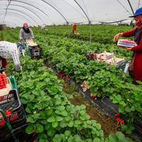 Польща відмінила карантин для працівників з України